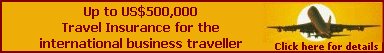 Business Travel Insurance Programme
